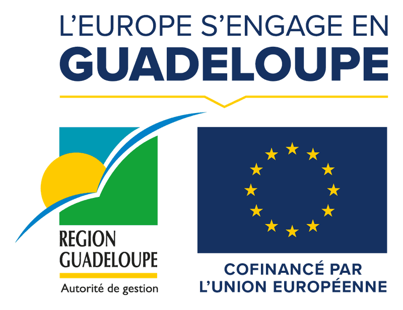 Union européenne – Fonds social européen plus (FSE+)